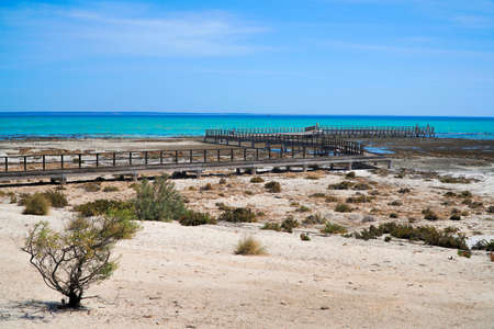 Hamelin Pool Marine Nature Reserve is a protected marine nature reserve located in  Shark Bayの写真素材