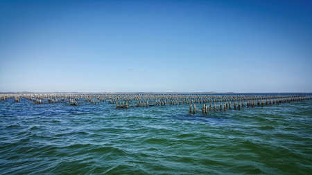 Coffin Bay is a town in the Eyre Peninsula noted for seafood especially for its world class oysters...
