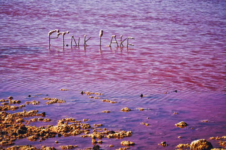 pink salt lakes in western australia near Port Gregory the lakes changes through the spectrum of red to bubble-gum pink to lilac purple it is feed by marine waters through springsの写真素材
