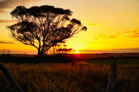 beautiful sunset in the outback of Australia