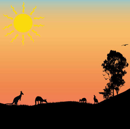 Three Australian kangaroos in the outback of Australia with sunset backgroundのイラスト素材