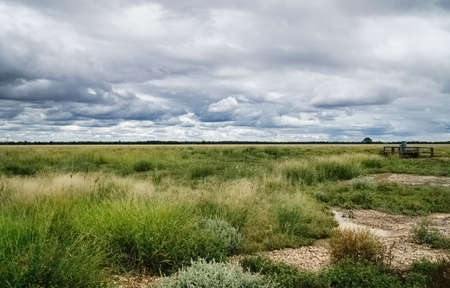Australia after rain in the outback country. Stormy clouds and green landscapeの写真素材