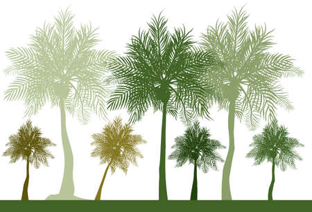 silhouette of lots of different shade of green coconut treesのイラスト素材