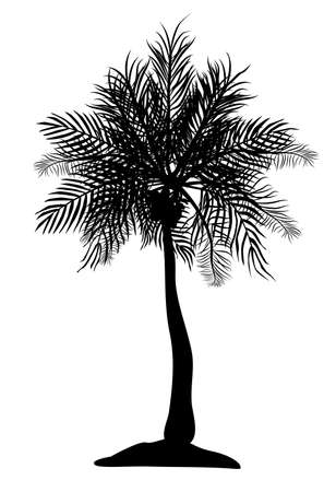 silhouette of one black coconut tree on white backgroundのイラスト素材