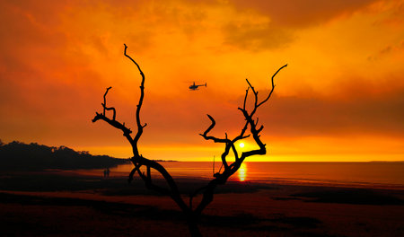 Golden sunset in the remote town Weipa, Cape York, North Queensland, Australia with silhouette of a...