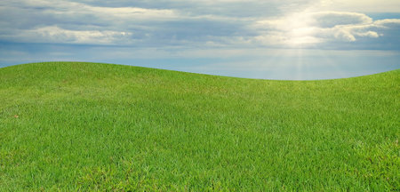 beautiful green grass with cloudy sky and sun-rays shining throughの写真素材