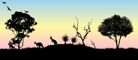 Silhouette of Grass tree and gum trees at sunset with kangaroos. Vector illustration.のイラスト素材