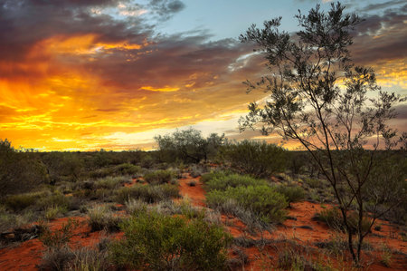 NW Coastal Hwy, Yandoo Creek, Western Australia.North West Coastal Highway is an amazing coastal route through Western Australia's remote north-west. It's one of the Australian longest roads.の写真素材