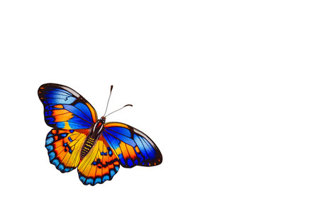 beautiful colorful butterfly on a white background with lots of space for text. AI Generatedの写真素材