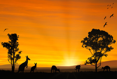 Illustration of a family of Australian Kangaroos in the evening feeding. orange sunset backgroundの写真素材