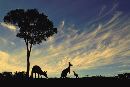 Australian silhouette of gum tree and kangaroos feeding with sunset cloudy backgroundの写真素材