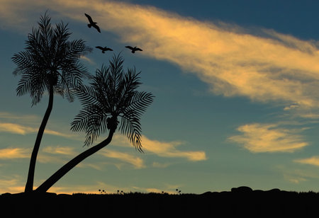 two silhouette of coconut trees with flowers and a few birds flying in the evening sunsetの写真素材