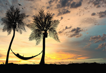 person resting under coconut tree with a glass of red wine in his hand. Sunset in the backgroundの写真素材