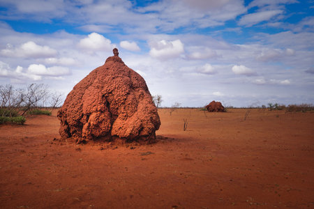 Large orange termite mounds in Western Australiaの写真素材