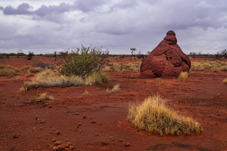 A photograph capturing a massive termite nest located on Onslow Road in Western Australia.の写真素材