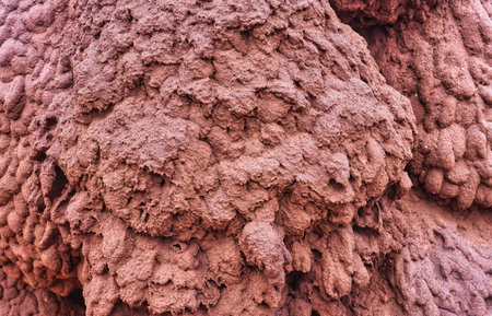 A close up of a massive termite nest located on Onslow Road in Western Australia.の写真素材