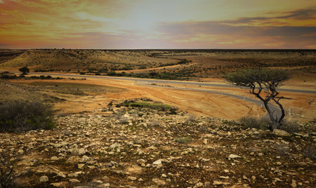 The Woodleigh Impact Crater it is a large meteorite impact crater in Western Australia, near Shark Bay, and is considered one of the biggest impact craters in Australia.の写真素材