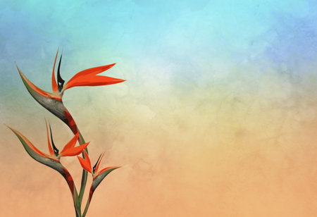 bouquet of flowers three stems of a bird of paradise on a grungy orange and light blue backgroundの写真素材