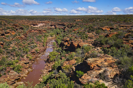 View of the gorge in Kalbarri National Park, Western Australia. The Murchison River is the second longest river in Western Australia.の写真素材