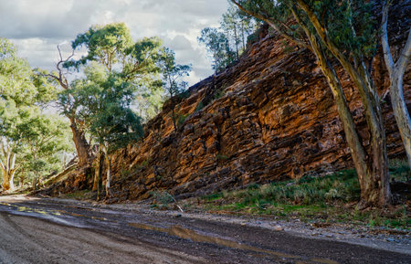 South Australia, view in Wilpena National Park which is in South Australiaの写真素材