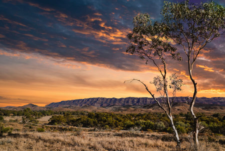 South Australia, view of the Flinders Ranges which are largest mountain ranges in South Australia