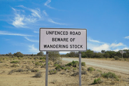 view of unfenced road, beware of wandering stock sign on the Oonadatta road outback South Australia.