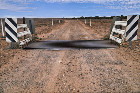 A section of The Wild Dog Barrier Fence on Lake Eyre road, it is the longest man-made structure in...