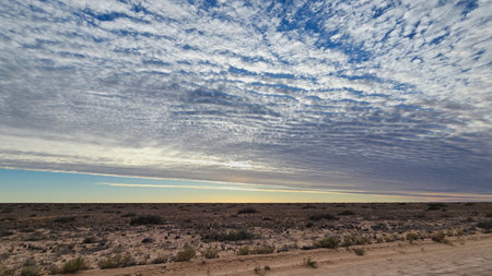 Desert scene at sunrise in South Australia on the Lake Eyre road. Photo features expansive skies, textured clouds.の写真素材