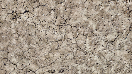 Cracked and dry soil is depicted, revealing the environmental challenges of arid landscapes and drought.の写真素材