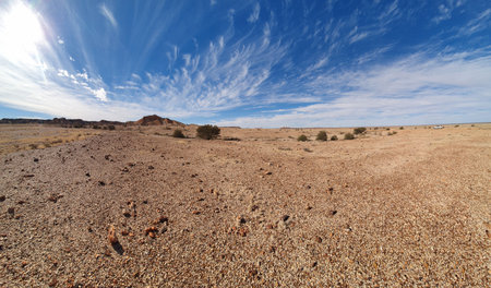 A arid desert scene with sparse bushes, and a distant vehicle beneath a vivid blue sky and wispy clouds. Evokes solitude and vast open space. of the Painted Desert of South Australia, Australia.の写真素材