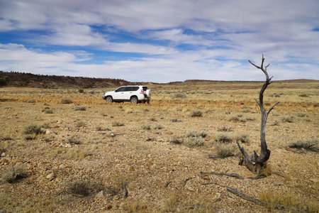 vehicle in a barren desert plain, with a weathered dead tree nearby. Expansive sky and sparse vegetation evoke adventure, isolation, and the rugged beauty of remote travel. South Australiaの写真素材