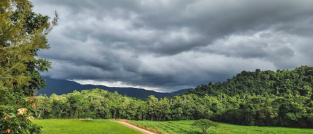 Vast green fields meet dense forested hills under dramatic, overcast skies. A dirt road leads through serenity and natural beauty, perfect for rural life, nature, and outdoor mood visuals.の写真素材