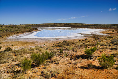 Arid desert scene featuring a shallow salt lake, rugged terrain, and scattered shrubs under a blue sky. A tranquil, remote landscape ideal for nature, travel, and adventure themes. Oakden Hills SAの写真素材