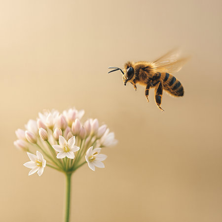 A honeybee hovers toward a cluster of white-pink flowers, capturing a moment of pollination in the gentle light. Warm, tones emphasize springtime .AI Generatedの写真素材