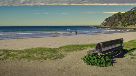 A coastal view features a weathered wooden bench on a grassy patch overlooking , sandy shore, and distant swimmers. A lush hillside frames the scene, suggesting relaxation and outdoor leisure.の写真素材