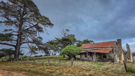 A dilapidated wooden house with brick chimneys sits in an open field, surrounded by trees under a moody, stormy sky. This rustic ruin evokes abandonment, history, and rural isolation for storytelling. Country Victoria Australiaの写真素材