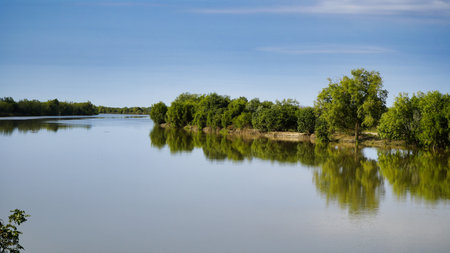 A tranquil river scene with green trees along the bank, reflecting in smooth water under a clear blue sky. Ideal for nature, travel, and outdoor lifestyle projects. Norman River Queensland Australiaの写真素材