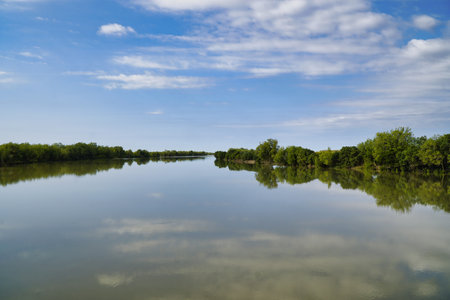 Norman River North Queensland, blue sky and green trees along the banks. The still water creates a mirror-like surface, conveying peace, nature, and outdoor calm suitable for travel themes.の写真素材