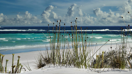 A tranquil coastal scene with white sand dunes, tall grasses, and turquoise waves rolling to shore beneath a bright blue sky. Ideal for travel, nature, vacation, and relaxation themes.の写真素材