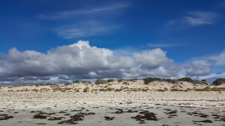 The shoreline of Lake Newland Conservation . A tranquil coastal scene featuring sunlit sand, wind-swept dunes, and sparse vegetation beneath a blue sky clouds. Eyre Peninsula, South Australia.の写真素材