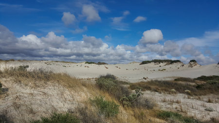 Tranquil environment of Lake Newland Conservation, characterized by sandy dunes, lush vegetation, and expansive blue skies. Nature showcases its beauty in this peaceful setting. Eyre Peninsula, South Australia.の写真素材