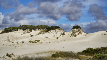 Stunning View of Lake Newland Conservation on Eyre Peninsula With Clouds and sand dunes. The shoreline of Lake Newland Conservation Park, sandy beach and dunes. Eyre Peninsula, South Australiaの写真素材