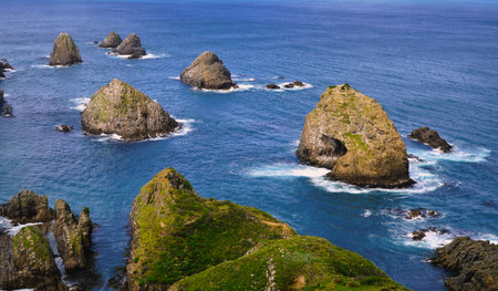 Nugget Point New Zealand, A dramatic seascape features mossy rock stacks rising from turquoise...