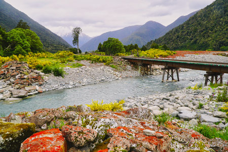 Rustic railway bridge spans a clear mountain river with rocky banks, surrounded by dense forest and rolling green hills. Wildflowers and rugged landscape convey serenity, adventure, and natural remote scenery. Otira New Zealandの写真素材