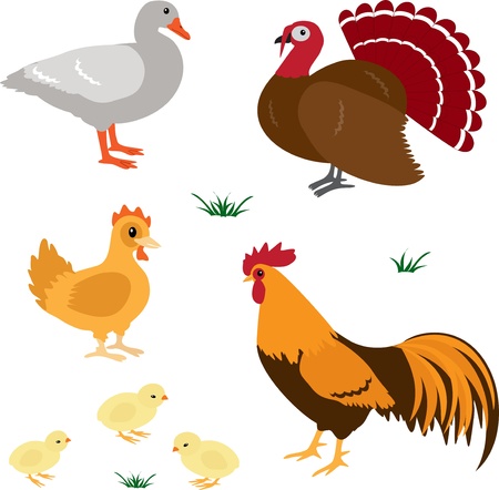 Farm animals vector set 4のイラスト素材