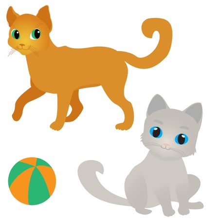 Red cat and grey kitten isolated on white