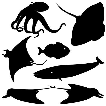 Set of fish silhouettes isolated on whiteのイラスト素材