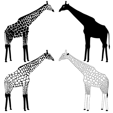 Set of giraffe black&white spotted silhouettesのイラスト素材
