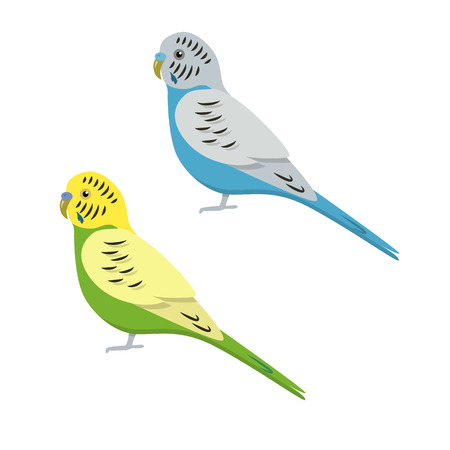 Budgerigar parrot icon in flat styleのイラスト素材