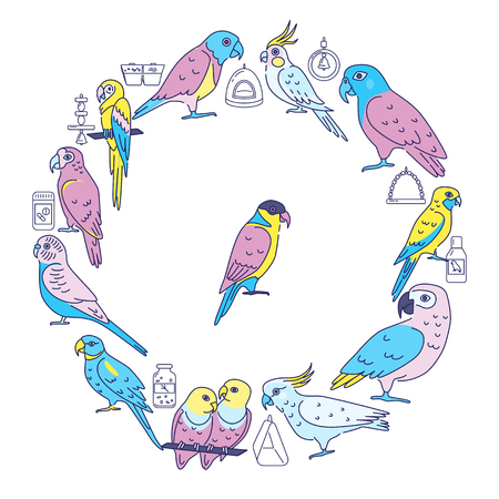 Parrots round concept banner in line style. Tropical birds and accessories symbols poster template. Vector illustration.のイラスト素材